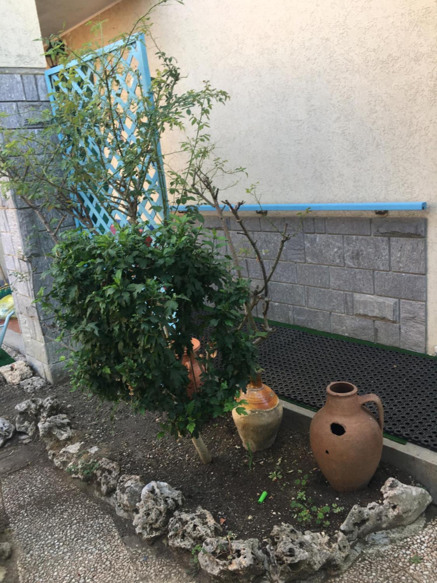 卡西尼Lerosedimiamamma公寓 外观 照片